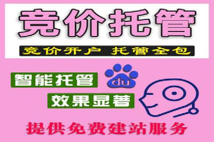 百度竞价赚钱技巧：实战案例分析